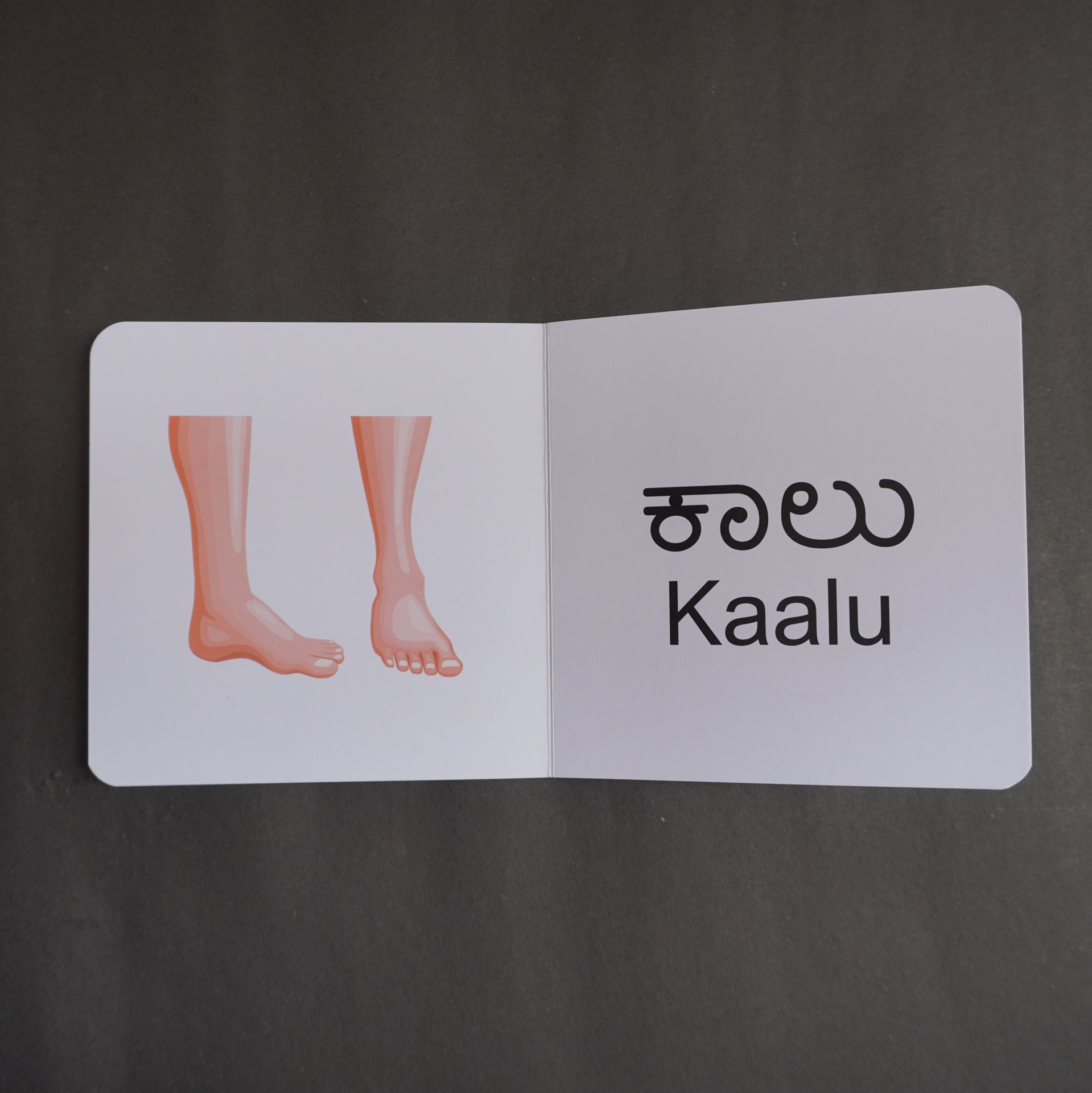 Interior spread - Kannada Body Parts Book