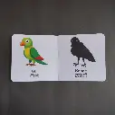 animals 3.webp
